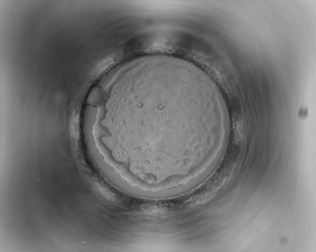 X0000103930729200809191349