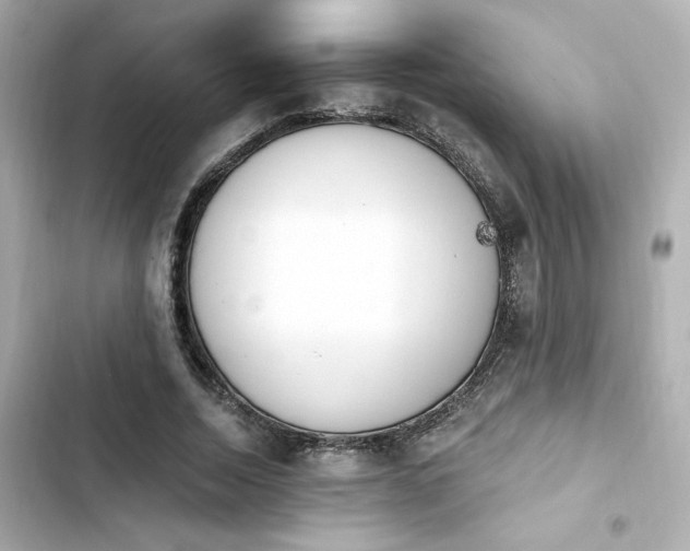 X0000103930730200809191349