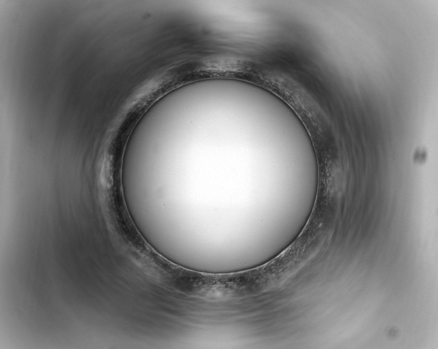 X0000103930731200809191349