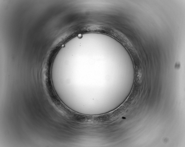 X0000103930732200809191350