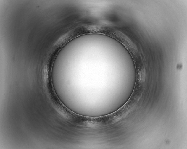 X0000103930733200809191350