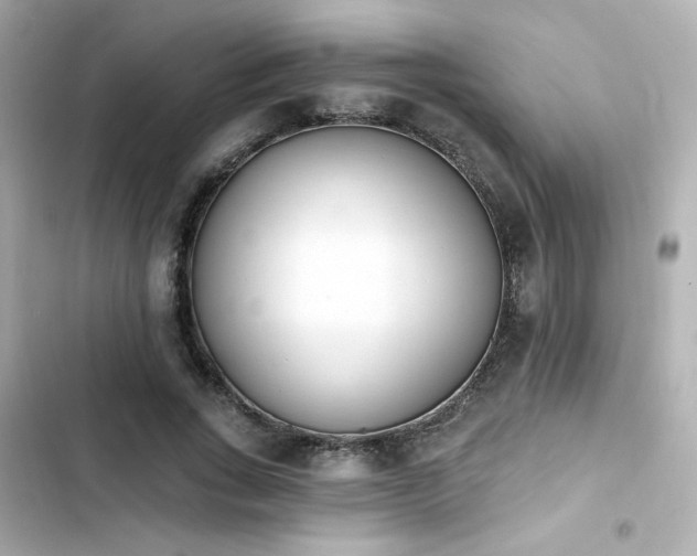 X0000103930735200809191350