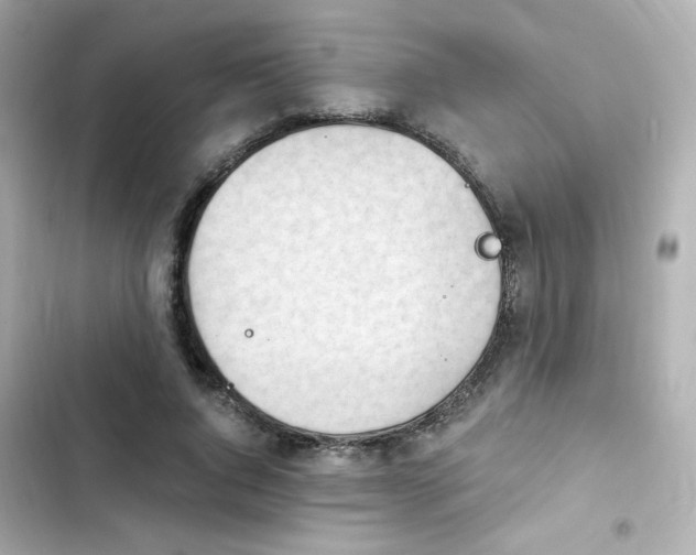 X0000103930736200809191350
