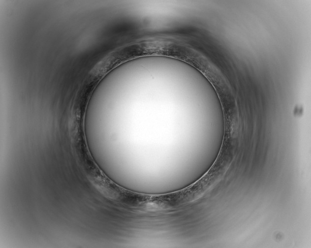 X0000103930737200809191350