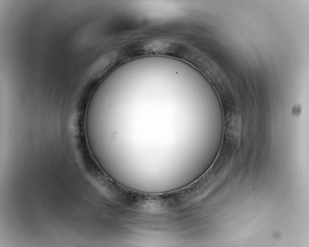 X0000103930738200809191350