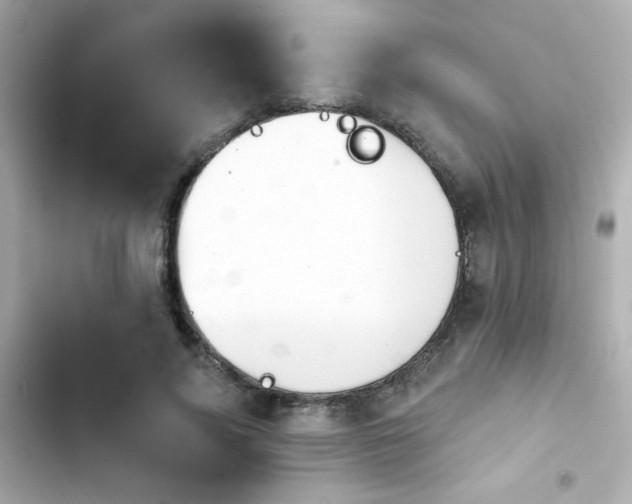 X0000103930740200809191350