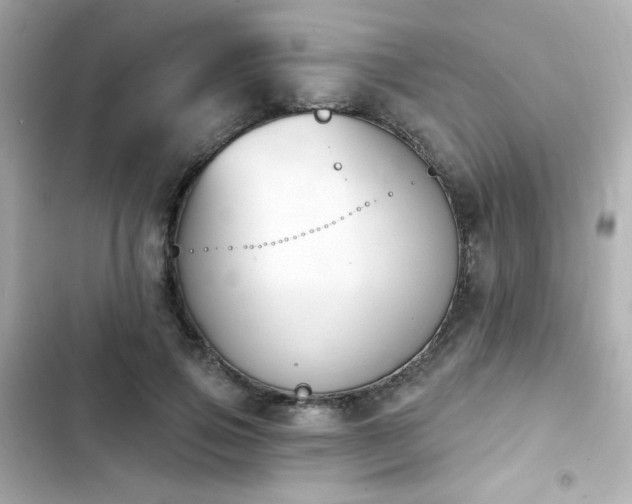 X0000103930741200809191350