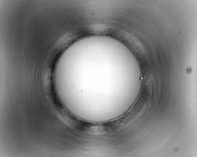 X0000103930744200809191350