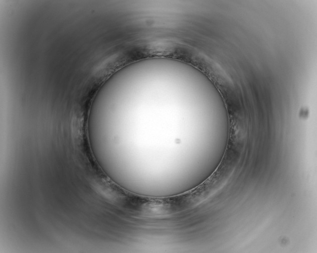X0000103930745200809191350