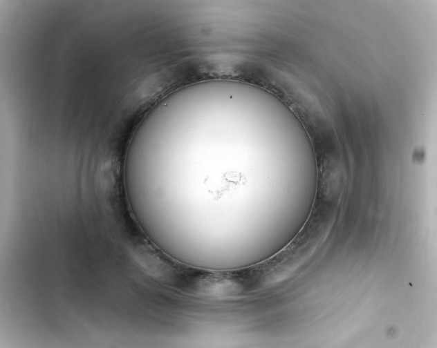 X0000103930747200809191350