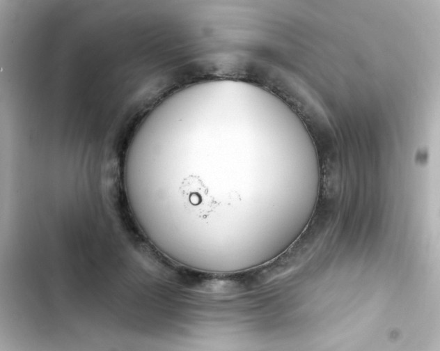 X0000103930748200809191350