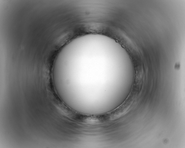 X0000103930749200809191350