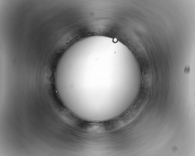 X0000103930750200809191350