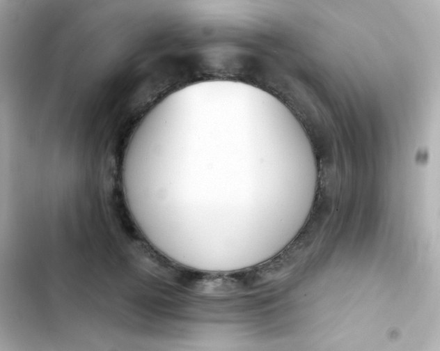 X0000103930752200809191350