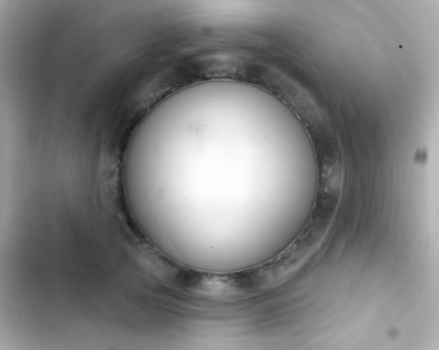 X0000103930753200809191350