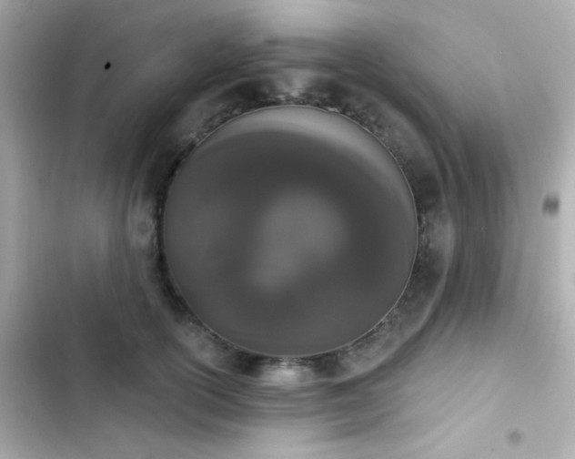 X0000103930754200809191350