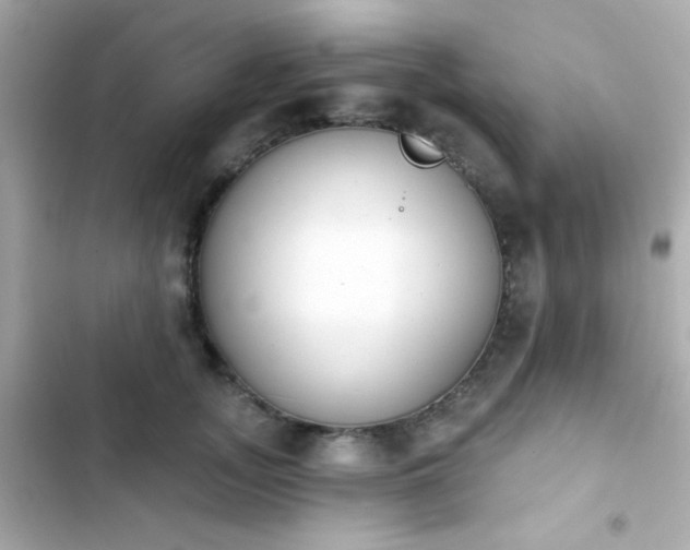 X0000103930755200809191350