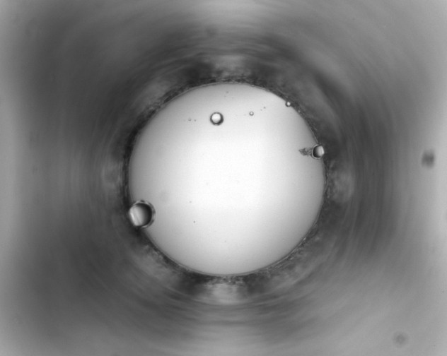 X0000103930756200809191350