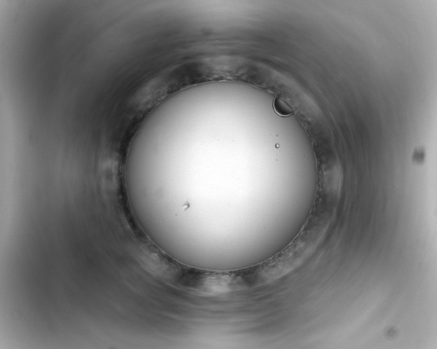 X0000103930757200809191350