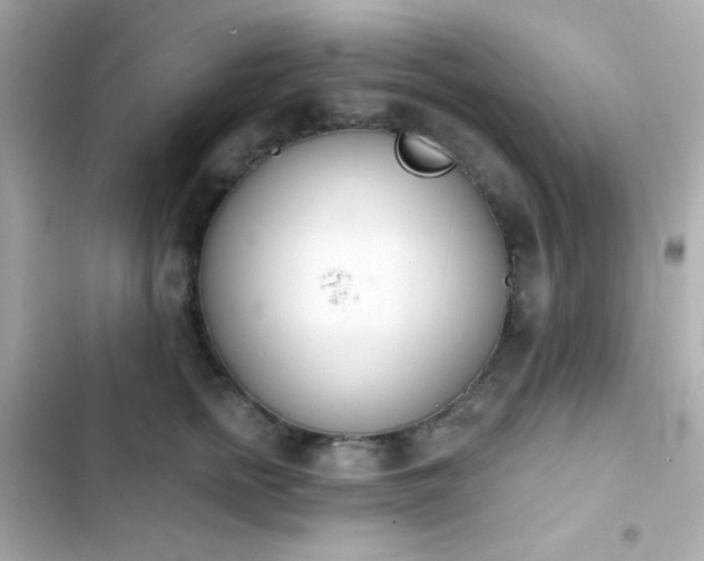 X0000103930758200809191350