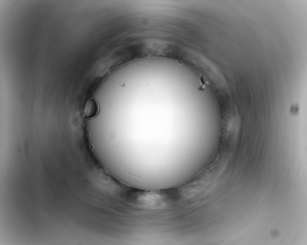 X0000103930759200809191350
