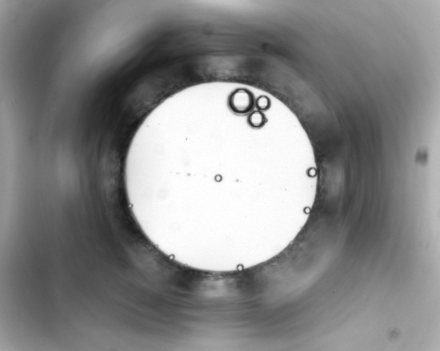 X0000103930760200809191350