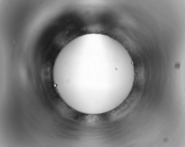 X0000103930762200809191350