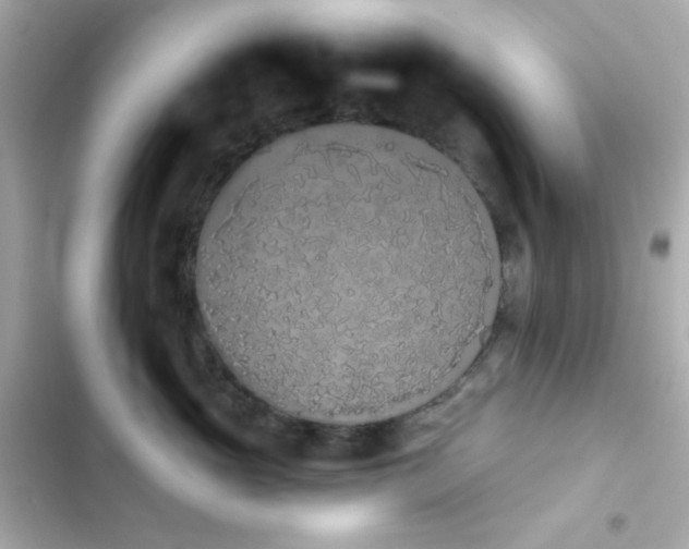 X0000103930765200809191350