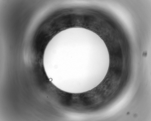 X0000103930766200809191350