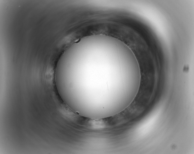 X0000103930767200809191350