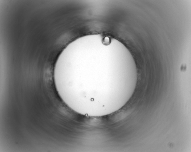 X0000103930768200809191350