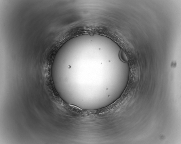 X0000103930770200809191349