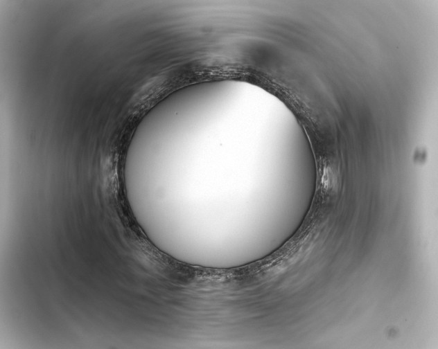 X0000103930771200809191349