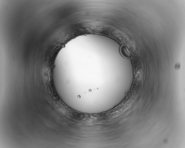 X0000103930772200809191349