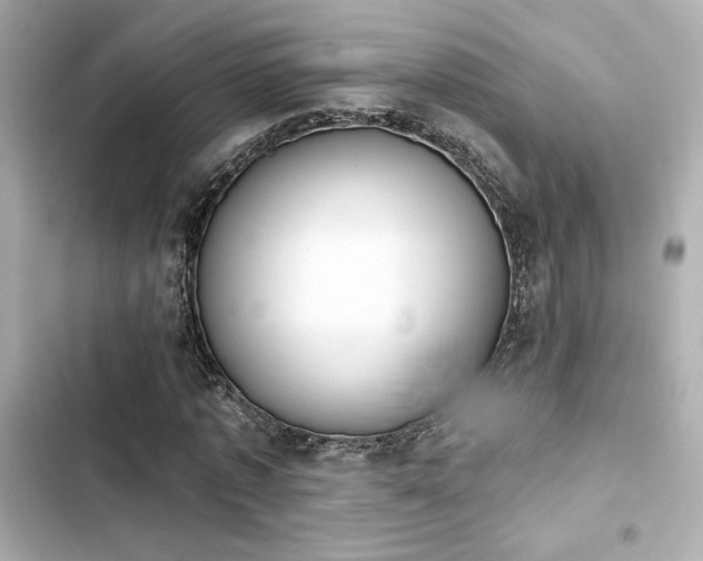 X0000103930773200809191349
