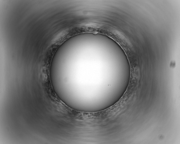 X0000103930774200809191349
