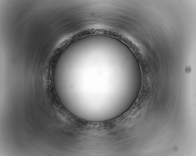 X0000103930775200809191349