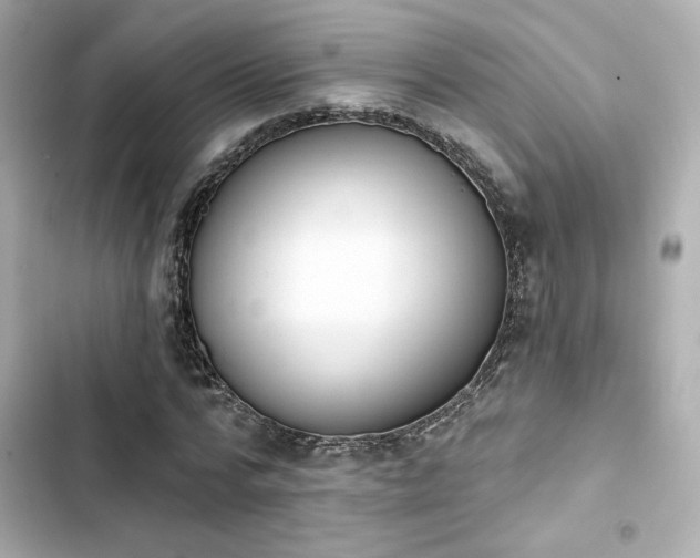 X0000103930776200809191349