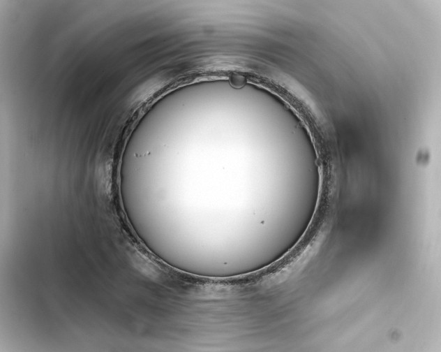 X0000103930777200809191349