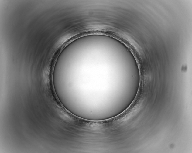 X0000103930778200809191349