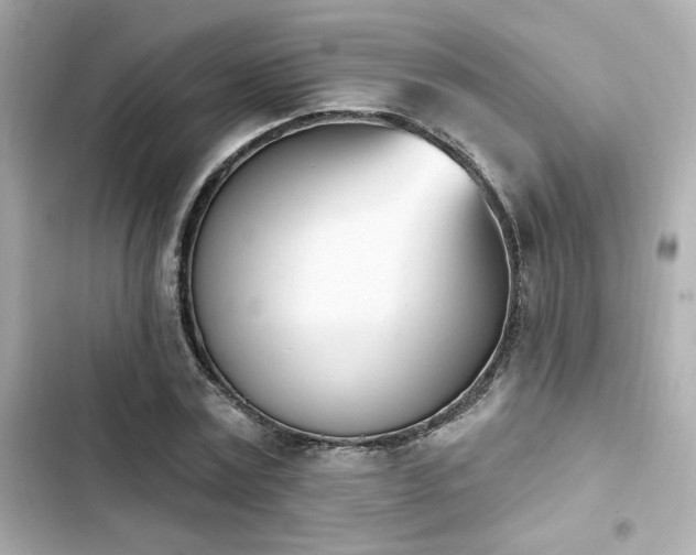X0000103930779200809191349