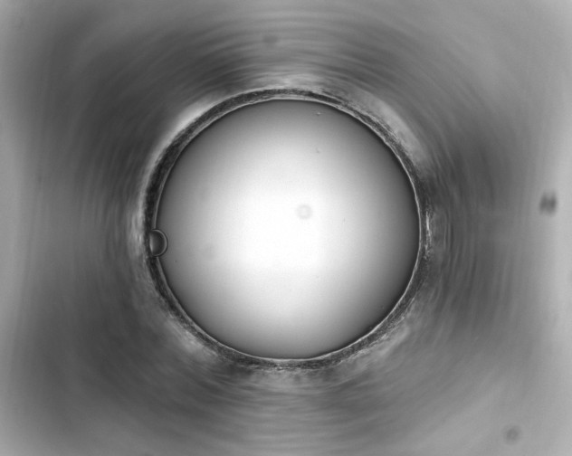 X0000103930780200809191349