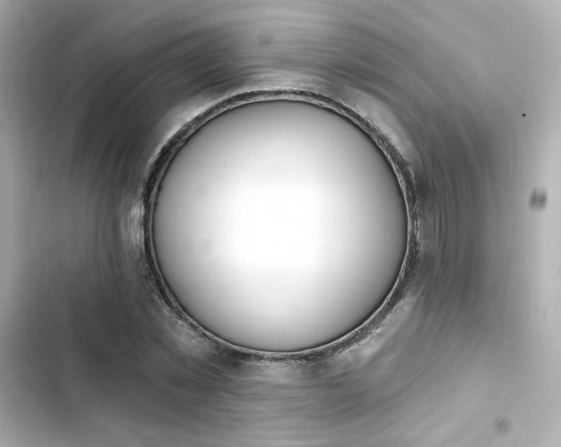 X0000103930781200809191349