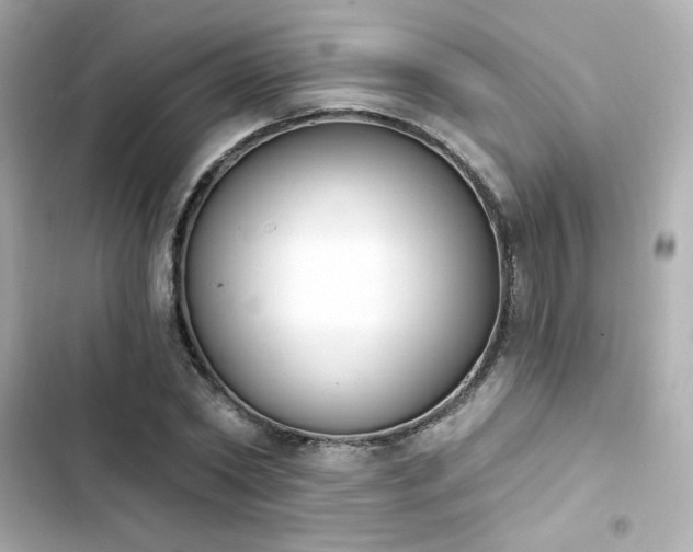 X0000103930782200809191349