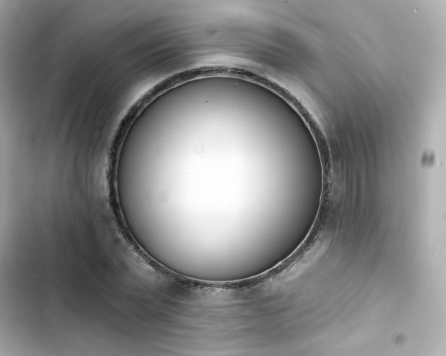X0000103930783200809191349