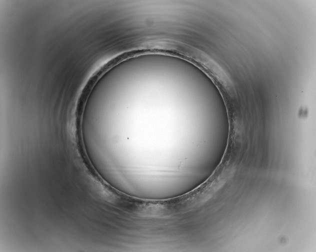 X0000103930784200809191349