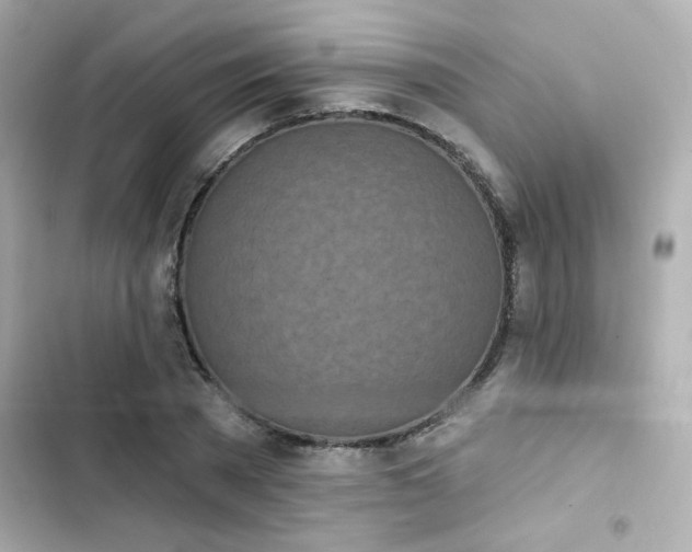 X0000103930785200809191349