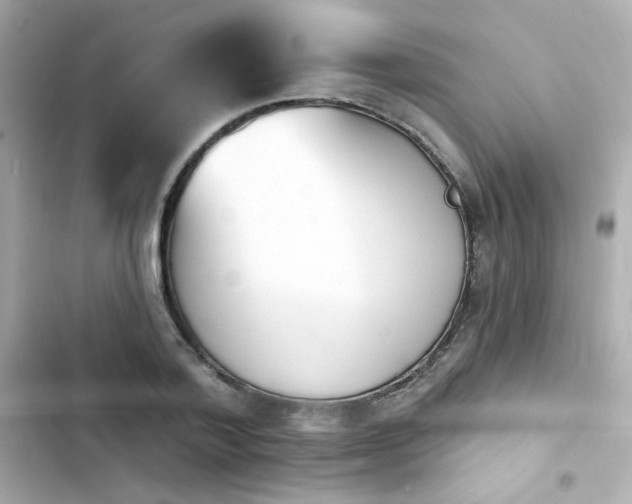 X0000103930788200809191349