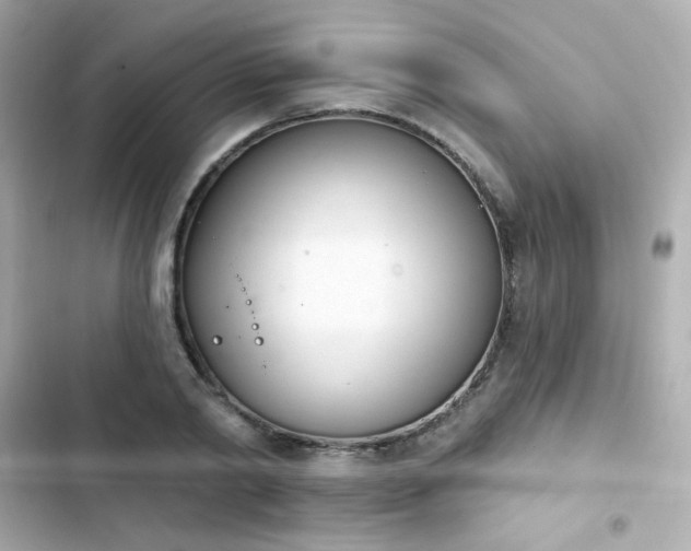 X0000103930790200809191349