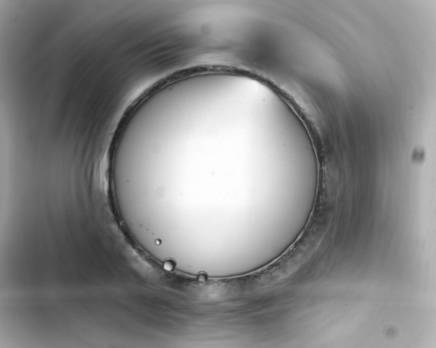 X0000103930791200809191349